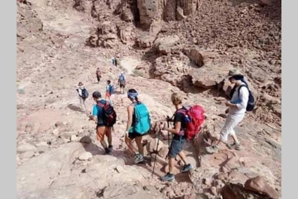 Bedouin Nature Travels Вади Муса Экстерьер фото