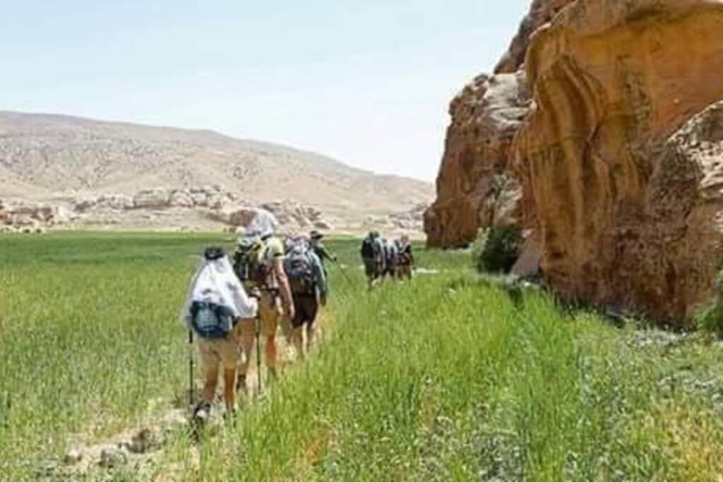 Bedouin Nature Travels Вади Муса Экстерьер фото