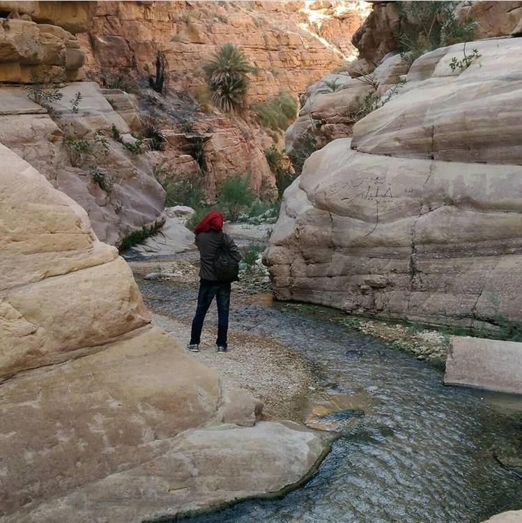 Bedouin Nature Travels Вади Муса Экстерьер фото