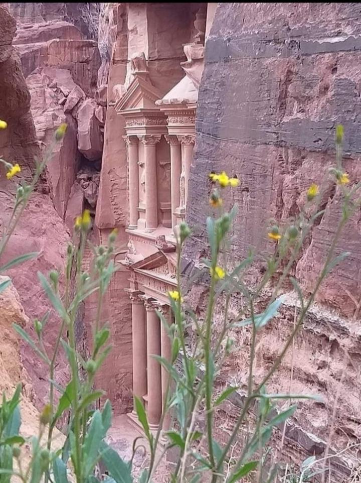 Bedouin Nature Travels Вади Муса Экстерьер фото